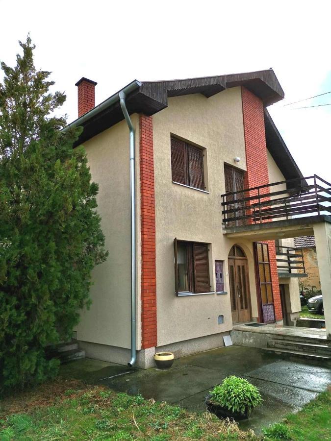 Vila Milica Kraljevo Buitenkant foto