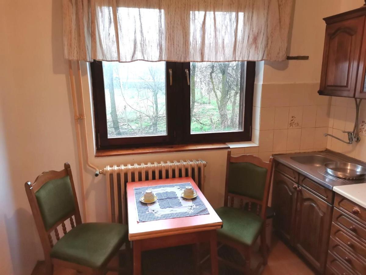 Vila Milica Kraljevo Buitenkant foto