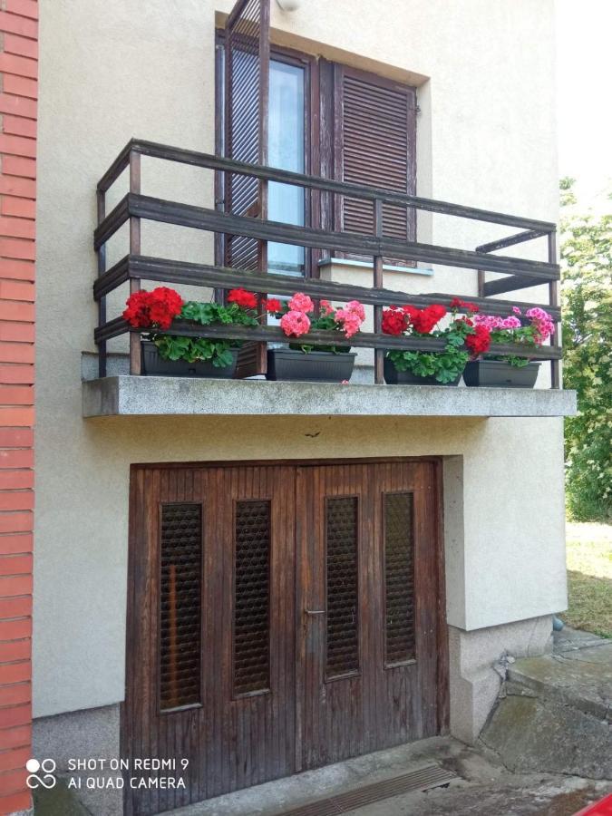 Vila Milica Kraljevo Buitenkant foto